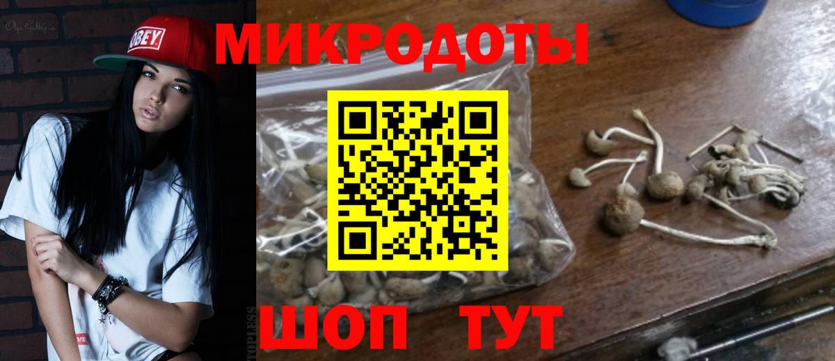 Михайловск  Псилоцибиновые грибы Psilocybe  Псилоцибиновые грибы Psilocybe  Вход с VPN 